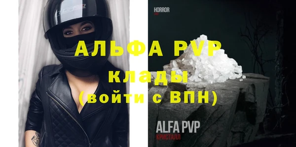 ПСИЛОЦИБИНОВЫЕ ГРИБЫ Тайга