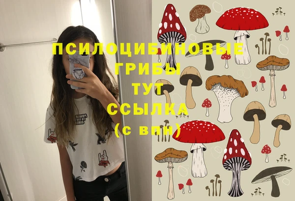 ПСИЛОЦИБИНОВЫЕ ГРИБЫ Тайга