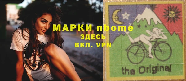 ПСИЛОЦИБИНОВЫЕ ГРИБЫ Тайга
